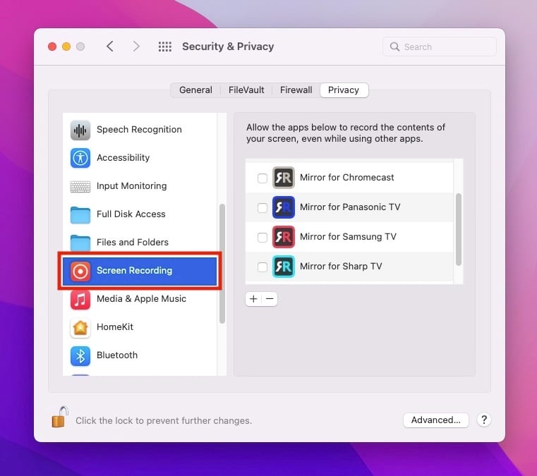Captura de pantalla de la pestaña Privacidad con el menú de grabación de pantalla resaltado