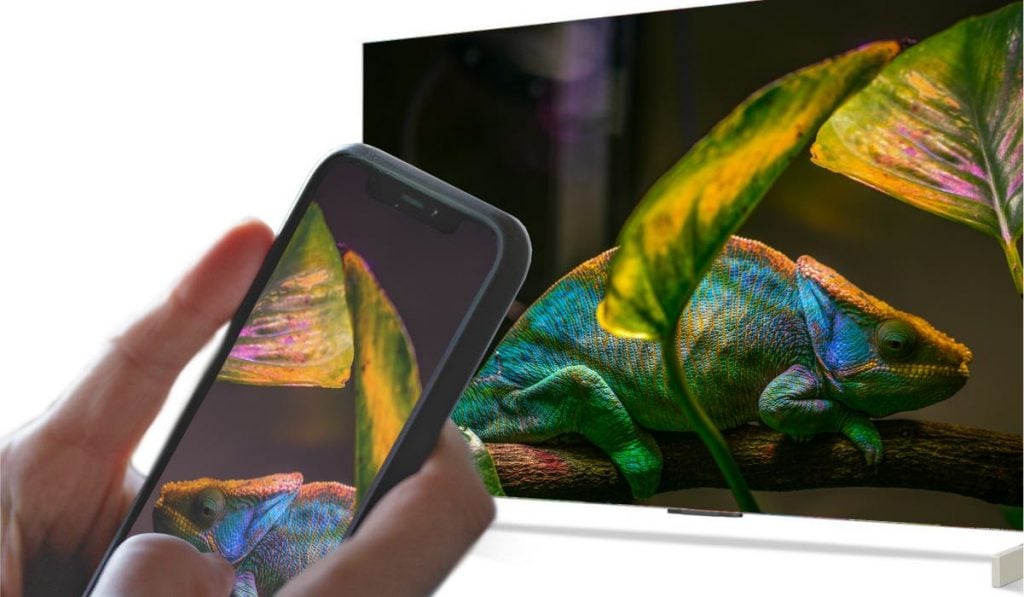 a hand holding an Android smartphone. The smartphone mirrors and image of leaves to a Smart TV