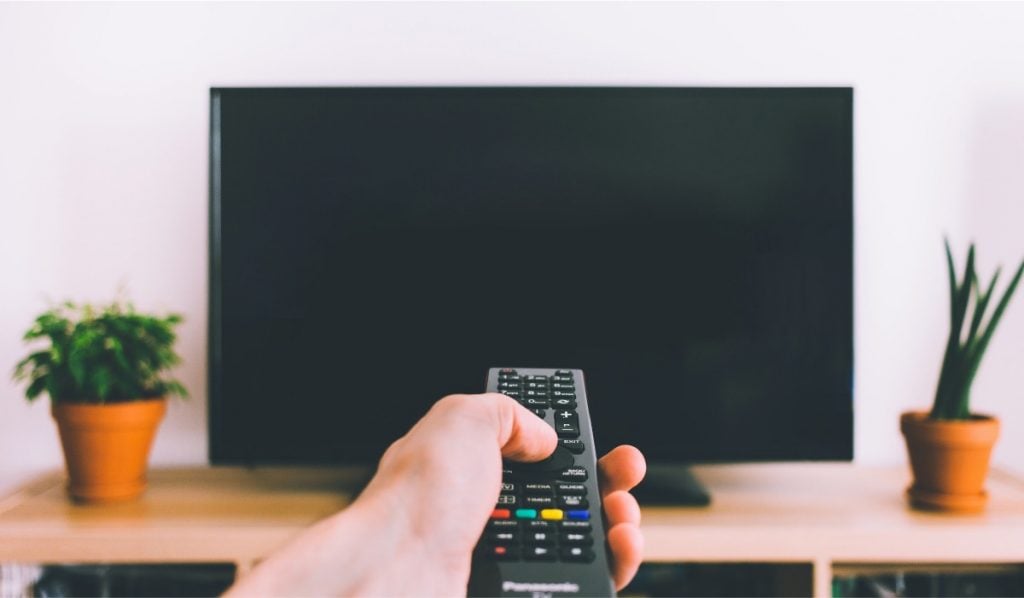 A hand holding a remote control, pointing the remote at the TV. The Smart TV is standing on a wooden stand with two potted plants on either side.